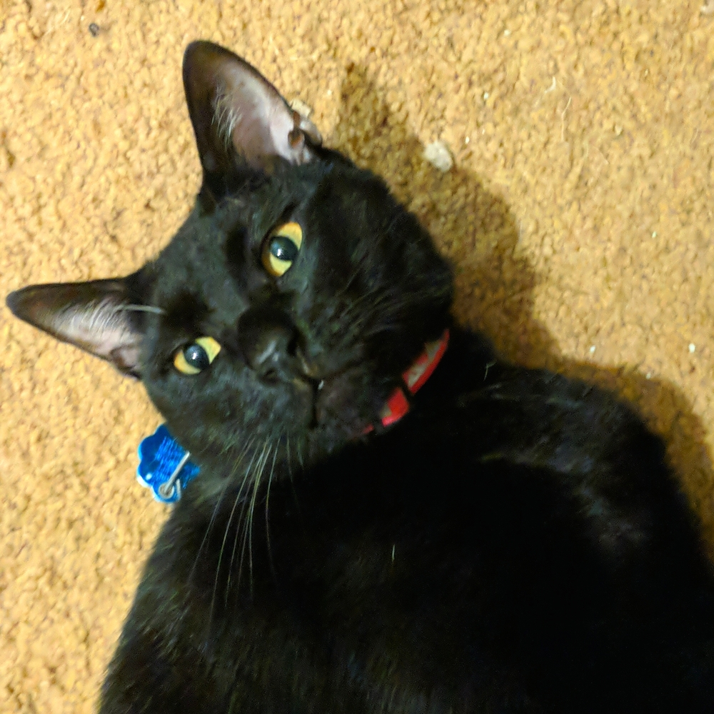 CLOSET BEING UPDATED